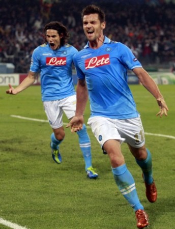 也体现了绿 也体现了绿